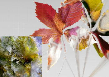 Introducing Veo 3, Our State-Of-The-Art Video Generation Model