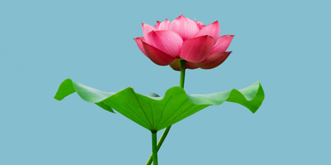 DeepSeek AI’s Latest Model Raises Global Free Speech Concerns