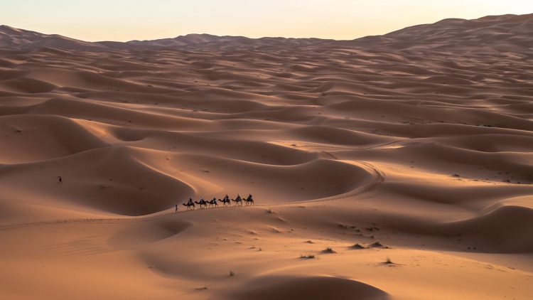 OnePlus 6T Review: Maintaining the status quo, at the moment