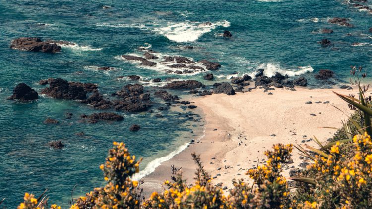 OnePlus 6T Review: Maintaining the status quo, at the moment