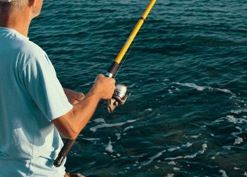 Paradise in the Wild of the Indian Ocean