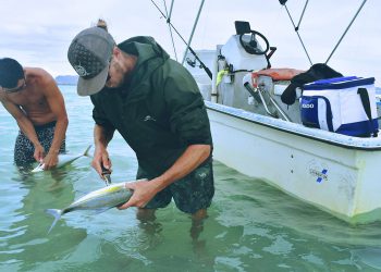 New Zealand Fly Fishing: Lord of the Rings