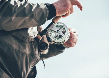 Flashing Permit Equals Feeding Permit