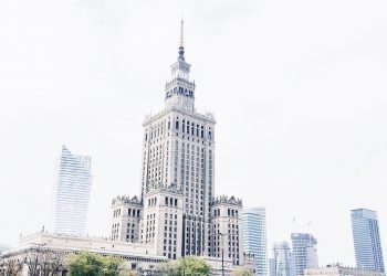 Treehouse hotel room peeps above canopy of Mexico’s tropical woodland