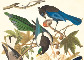 The New Happy Turns Research Into Colorful Tools