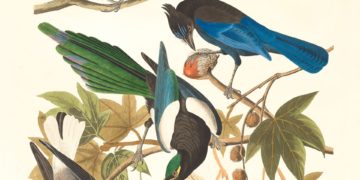 The New Happy Turns Research Into Colorful Tools