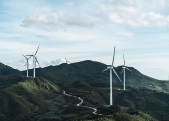 Europe’s Plan To Become The First Carbon-Neutral Continent