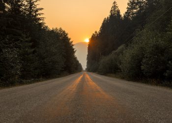 Long Road to Heaven