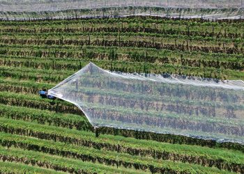Calculating Water Benefits on Modern Coffee Farms