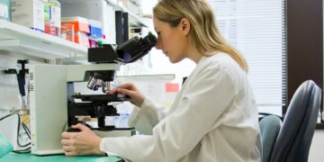 In Netherlands, 4 contemporary museums go beyond the Old Master