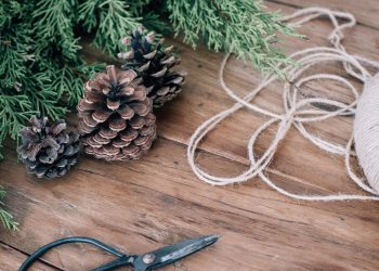 Organize All Your Jewelry and Scarves