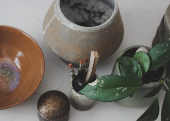 How Patterned Plants Can Spruce Up Your Winter