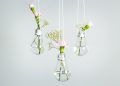 The Clever Ways You Never Thought to Display Your Plants