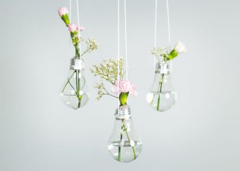 The Clever Ways You Never Thought to Display Your Plants