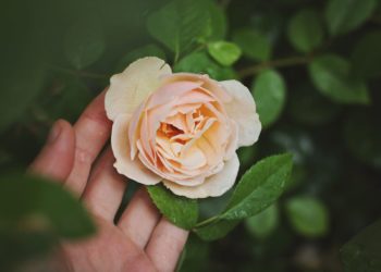 Washington prepares for Donald Trump’s big moment