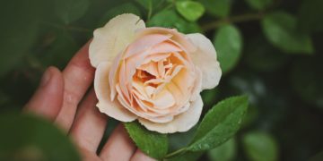 Washington prepares for Donald Trump’s big moment