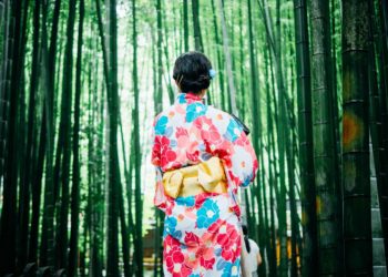 Is Japan the Most Overrated Travel Destination in the World?