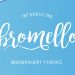 Bromello Modern Script Typeface