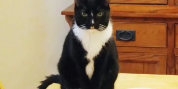 You will do as I command