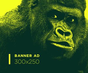 Advertisement Banner