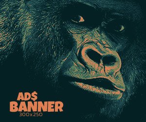 Advertisement Banner