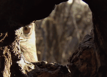 You’re being watched without knowing it