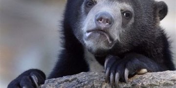 I wish I know how to stop