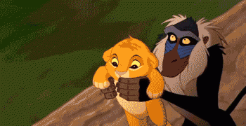 Poor lil’ lion, savage chimpanzee