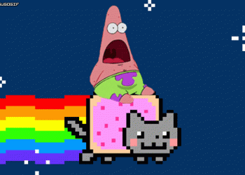 You dont adopt the kitty, the kitty adopts you