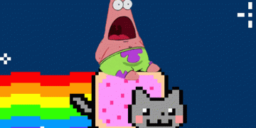 You dont adopt the kitty, the kitty adopts you