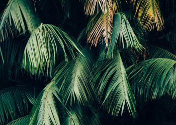 Thousands of peoples leaving Bali via port to skip ‘Day of Silence’