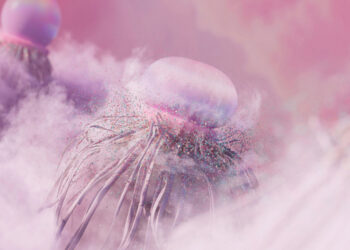 Google DeepMind Launches Gemini Pro With Visual AI Boost