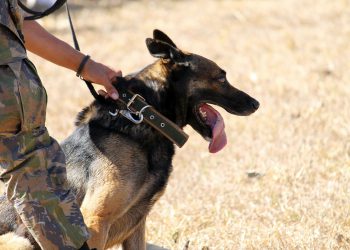 China says US increasing military activity directed at it