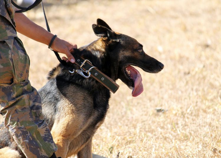 China says US increasing military activity directed at it