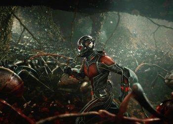 Let’s Nerd Out About Ants Before You See Ant-Man