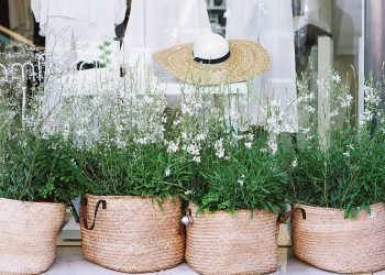 Extreme Heat Waves Will Change How We Live. We’re Not Ready