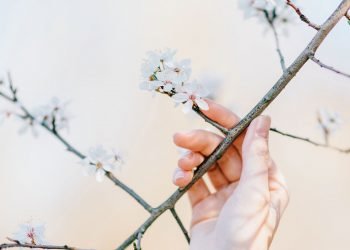 Prime Your Thinking for Success