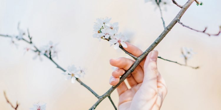 Prime Your Thinking for Success