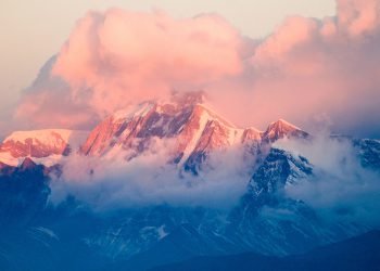 Daily Tips: One Thing You Can Do Today