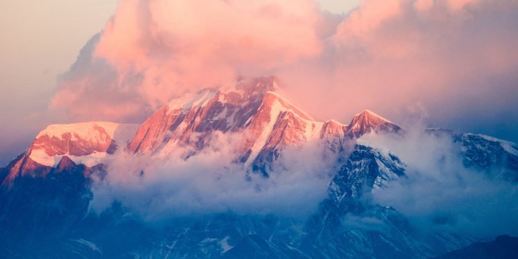 Daily Tips: One Thing You Can Do Today