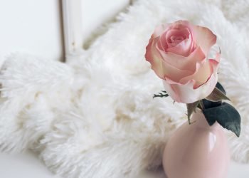 Say You’re Sorry with The Right Flowers