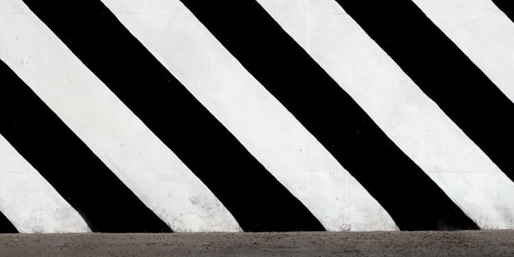 Fashion Story: From the Catwalk to Your Closet