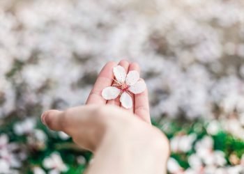 Daily Tips: One Thing You Can Do Today