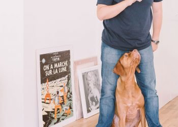 Why dogs make the best companions for your family