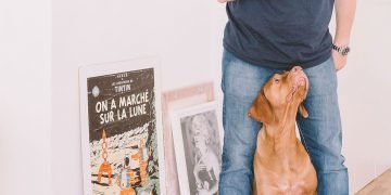 Why dogs make the best companions for your family