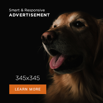 Advertisement Banner