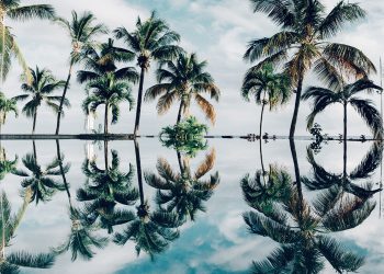 Be like a tree and let the dead leaves drop