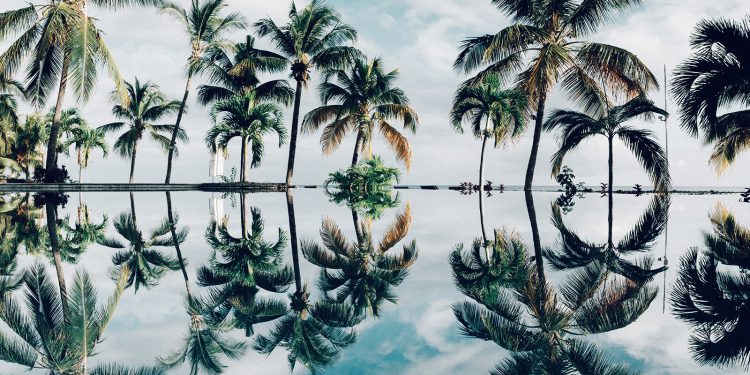 Be like a tree and let the dead leaves drop