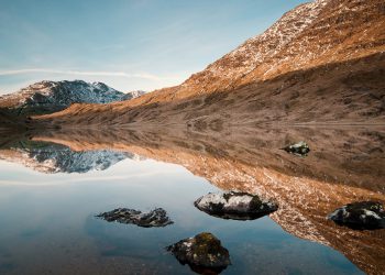 My brain feels like a cool, deep lake