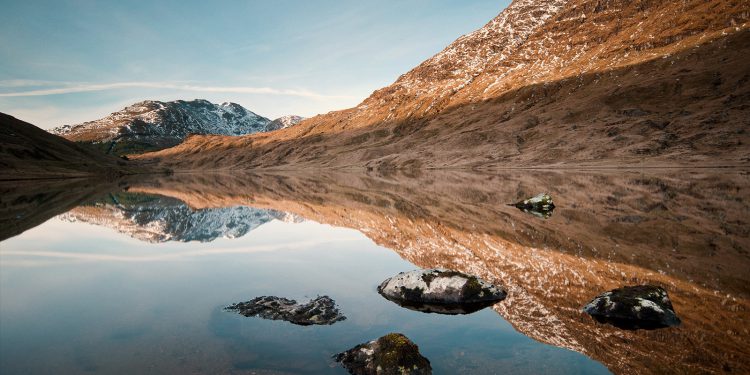 My brain feels like a cool, deep lake